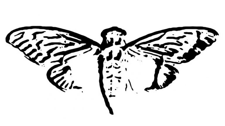 Cicada 3301's logo